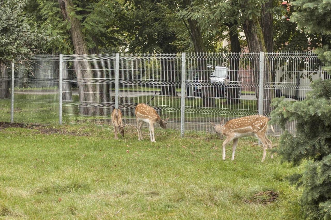Hotel I Restauracja Borowianka Ostrów Wielkopolski Kültér fotó